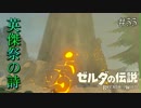 【実況】ゼルダ童貞による ゼルダの伝説BotW（ブレスオブザワイルド）~ショタの祠~Part55