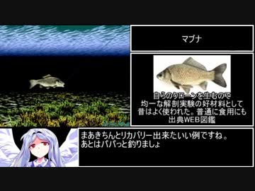 つり太郎RTA　2時間37分53.9秒　part1/3