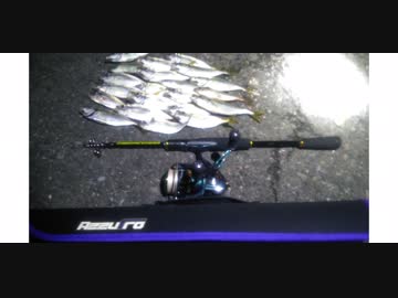 大阪南港でアジ爆釣！！