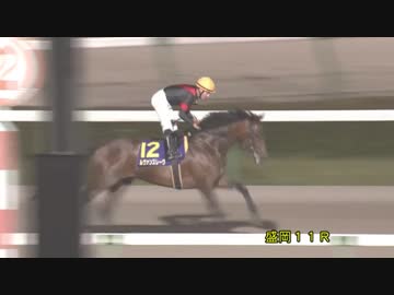 2018年　第31回 マイルCS南部杯（JpnⅠ）【ルヴァンスレーヴ】