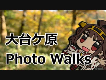 大台ケ原PhotoWalksツーリング【Odaigahara】
