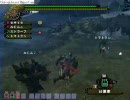MHF フルフル　テスト２
