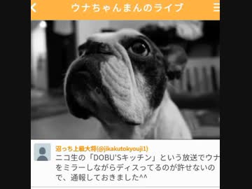 【ウナちゃんマン】 高等戦術に何年も騙され続けた結果。