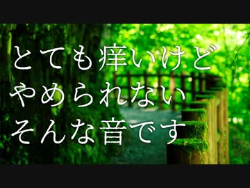 痒すぎてやみつきになる音 | ブラシ付き耳かき機材比較 | H6 or DR-05【ASMR / 音フェチ】
