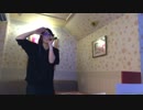 【歌ってみた】特命戦隊ゴーバスターズOP1