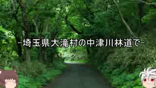 【怪談】ゆっくりと一緒に百物語 09話【ゆっくり朗読】