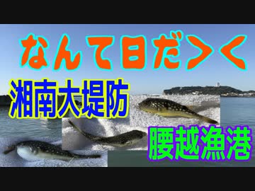 釣り動画ロマンを求めて 番外編（なんて日だ＞＜ 「怒涛のナイトメアストーム」）