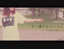 【にゃるぽん】命に嫌われている【踊ってみた】