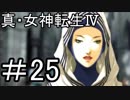 真・女神転生Ⅳ　またゲームに夢中になるために実況プレイ25