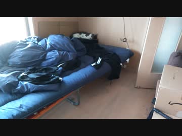 おもしろい姿で寝る猫