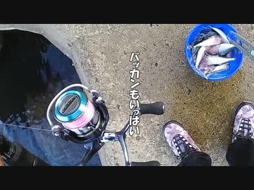 のうてんパイラーのDearAngler ~Stories~　第4話（前編）「それが爆釣！」