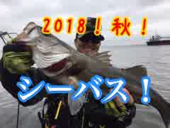 秋のシーバスウェーディング！【もっち釣動組合♯３５】