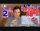 医者が見る はたらく細胞 2話 (赤血球のアホ毛が気になる) 外国人の反応【日本語字幕】