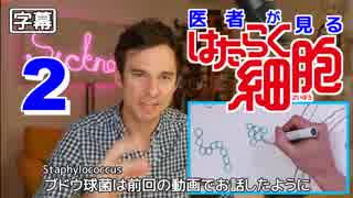 医者が見る はたらく細胞 2話 (赤血球のアホ毛が気になる) 外国人の反応【日本語字幕】