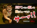 【GreenHell】アップデートきたので色々追加されたよ：#07