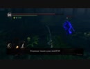 Dark souls remastered ps4 pvp18