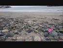【Riz】想い【初音ミク オリジナル】