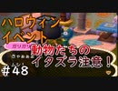 とびだすぜ！どうぶつの森＃４８