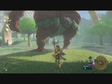 【実況】愛に生きるゼルダの伝説ブレスオブザワイルド マスターモード part47