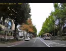 車載動画/横浜　山下公園前～赤レンガ倉庫前～みなとみらい 2018-10-12 朝/A Taxi Driver's View of Tokyo vol.52