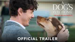 映画『A Dog's Way Home』予告編