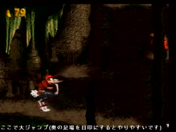 スーパードンキーコング any%ルート 6-2解説