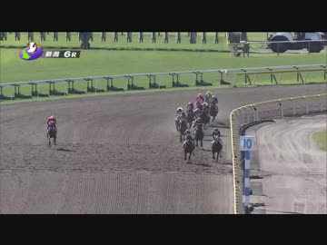 《周回誤認？！　山田敬士がやらかした！》2018/10/13 新潟6R 3歳上500万下《パトロールビデオ》