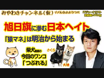 旭日旗に滲む日本ヘイト。「猿マネ」は明治から始まっている｜マスコミでは言えないこと#241