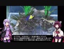 結月ゆかりとアクアリウム夜話　第10夜