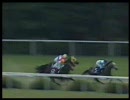 競馬 名馬物語２ メジロマックイーン(2/3)