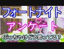 【フォートナイトバトルロイヤル】アンケート"ぶっちゃけどう思ってる?"【Fortnite】