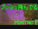 【日刊】初心者だと思ってる人のフォートナイト実況プレイPart110【Switch版Fortnite】