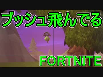 【日刊】初心者だと思ってる人のフォートナイト実況プレイPart110【Switch版Fortnite】