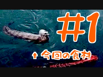 【釣り】トラウツボって食べれるんですか #1【料理】