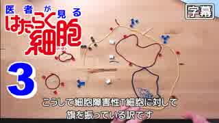 医者が見る はたらく細胞 3話 (本人が活性化してる) 外国人の反応【日本語字幕】