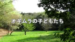 オギムラの子どもたちその3