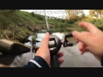 【ルアー】ハイパーバスフィッシング【魚釣り】（釣れたためしはありません）