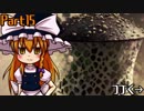 【ゆっくり実況】15話：古代竜人族を探せ【MHW】