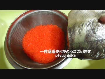 いくらの醤油漬け2018