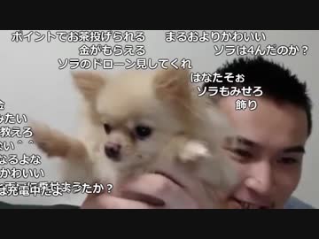 【TWC】うんこちゃん『ねる』1/5【2018/10/08】