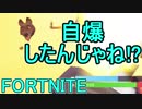 【日刊】初心者だと思ってる人のフォートナイト実況プレイPart112【Switch版Fortnite】