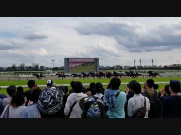 第23回 秋華賞
