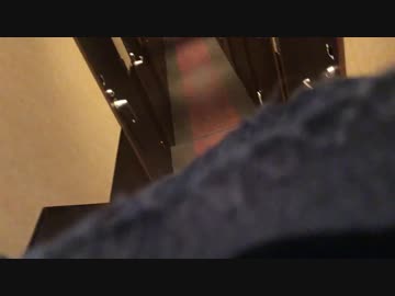 （新作、大作）奇行紀行