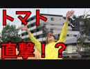 フォートナイトのエモートだけでシャルル踊ってみた