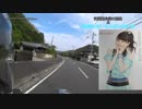 はーちん推しの思い出＆武道館公演（卒業公演）の結果【ST250E/モトブログ】