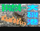 釣り動画ロマンを求めて 196釣目（大磯港）