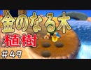 とびだすぜ！どうぶつの森＃４９