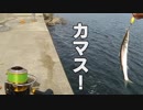 のうてんパイラーのDearAngler ~Stories~　第4話（中編）「自作でもイケるじゃん！」
