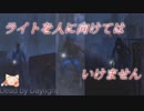 ライト持ちに怒り心頭【Dead by Daylight】