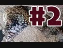 【釣り】トラウツボって食べれるんですか #2【料理】
